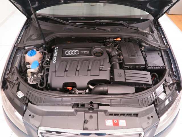 Audi A3 1.6 tdi Ambition 90cv  Ottime Condizioni 